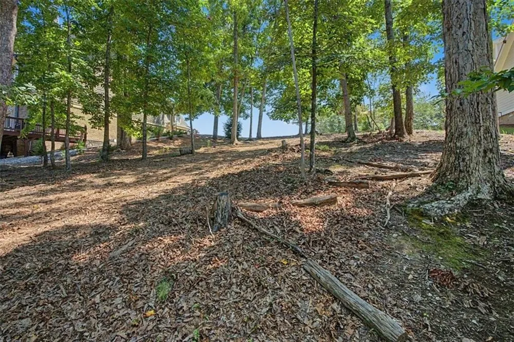 7385 Crestline Drive Dawsonville, GA 30534