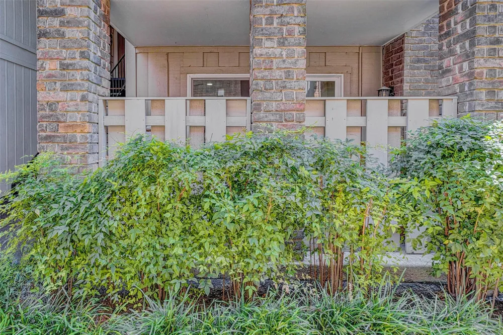 7555 Katy Freeway #55 Houston, TX 77024