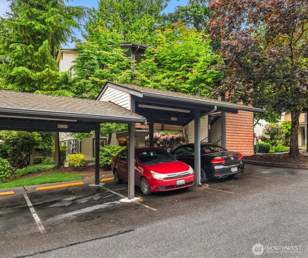 8615 238th Street SW #B101 Edmonds, WA 98026