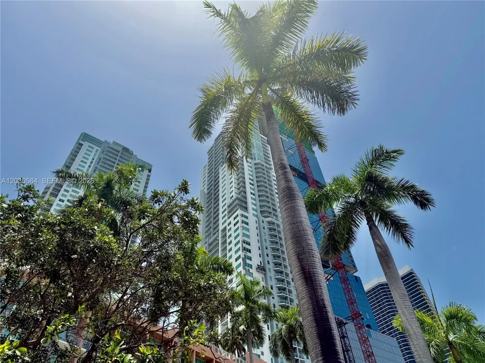 244 Biscayne Blvd #2105 Miami, FL 33132