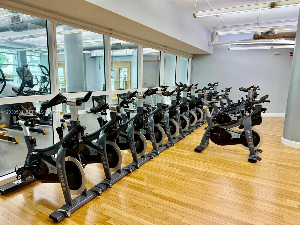 244 Biscayne Blvd #2105 Miami, FL 33132