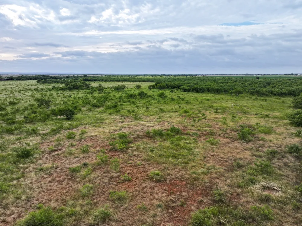 133 Porcupine Trail Tuscola, TX 79562