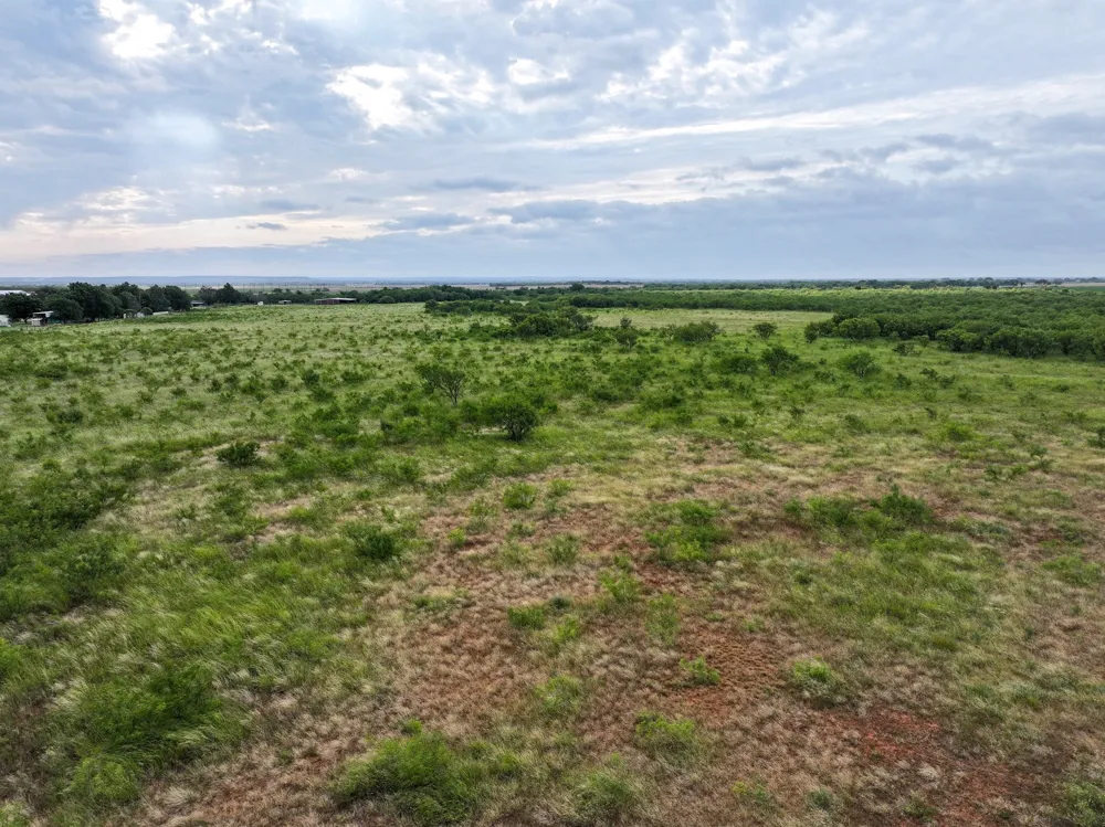 133 Porcupine Trail Tuscola, TX 79562