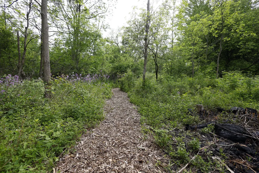 5801 Territorial Road Dexter, MI 48130