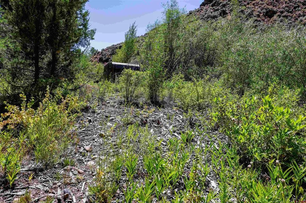 County Road 16 Gunnison, CO 81230
