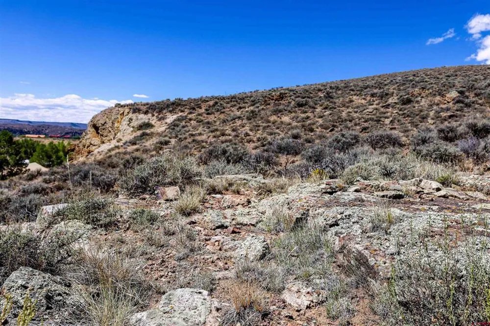 County Road 16 Gunnison, CO 81230
