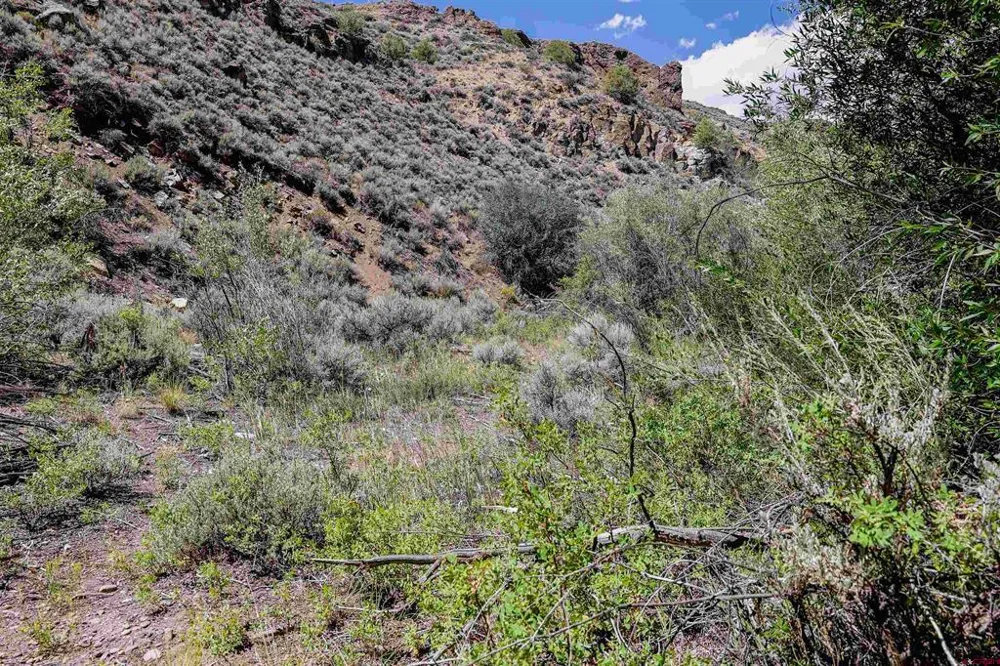 County Road 16 Gunnison, CO 81230