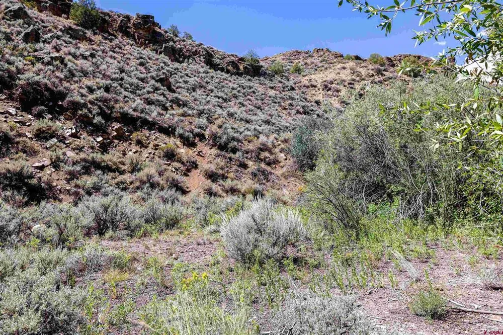 County Road 16 Gunnison, CO 81230