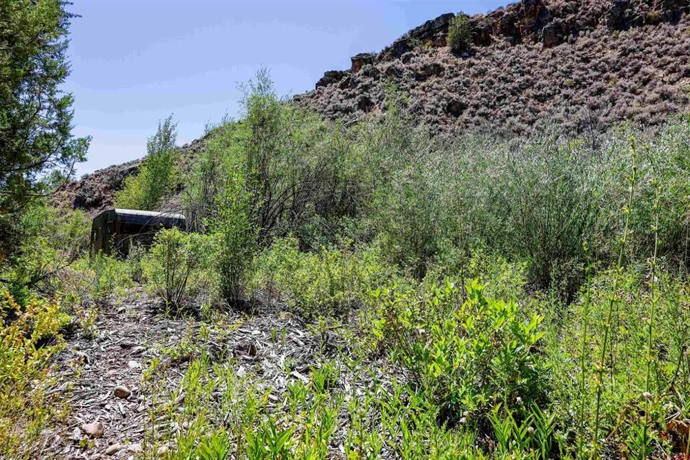 County Road 16 Gunnison, CO 81230