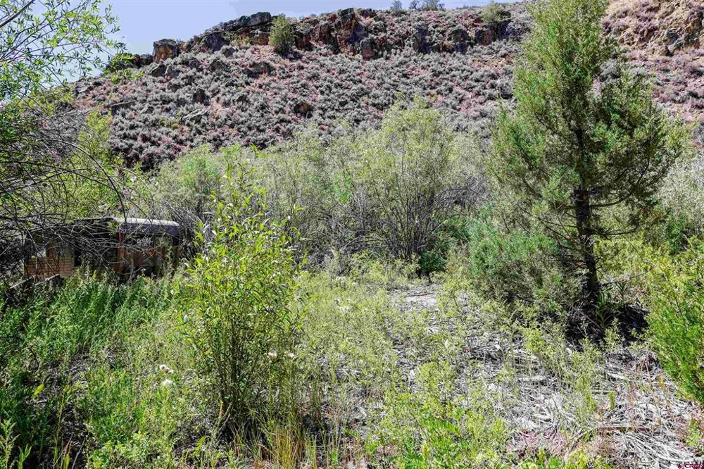County Road 16 Gunnison, CO 81230
