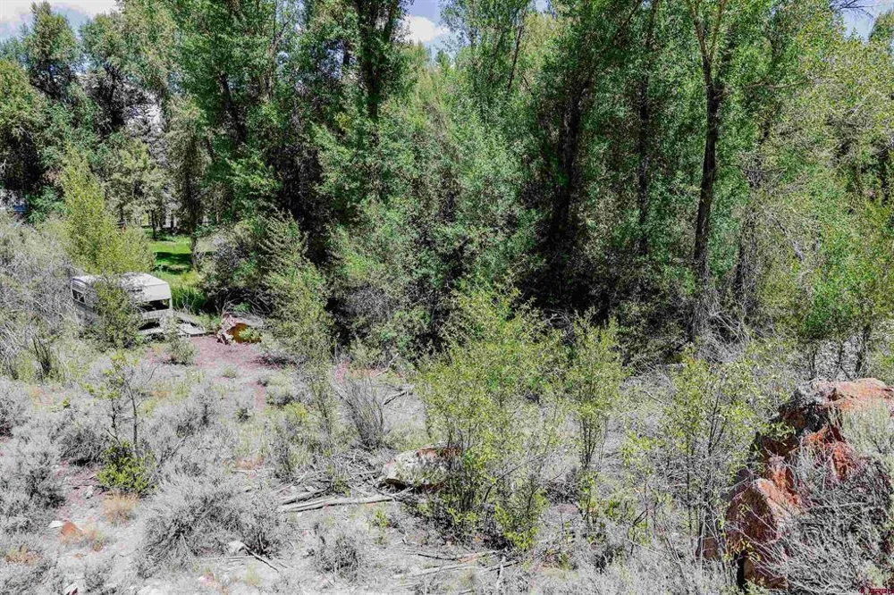 County Road 16 Gunnison, CO 81230