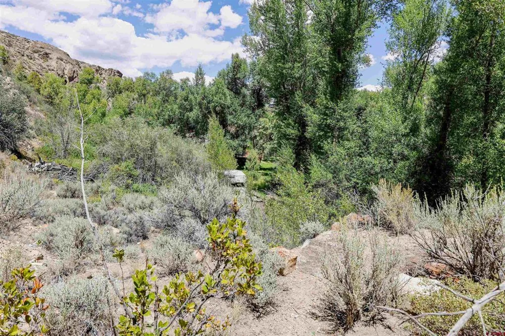 County Road 16 Gunnison, CO 81230