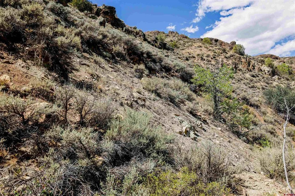 County Road 16 Gunnison, CO 81230
