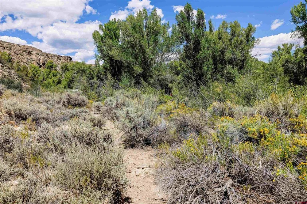 County Road 16 Gunnison, CO 81230