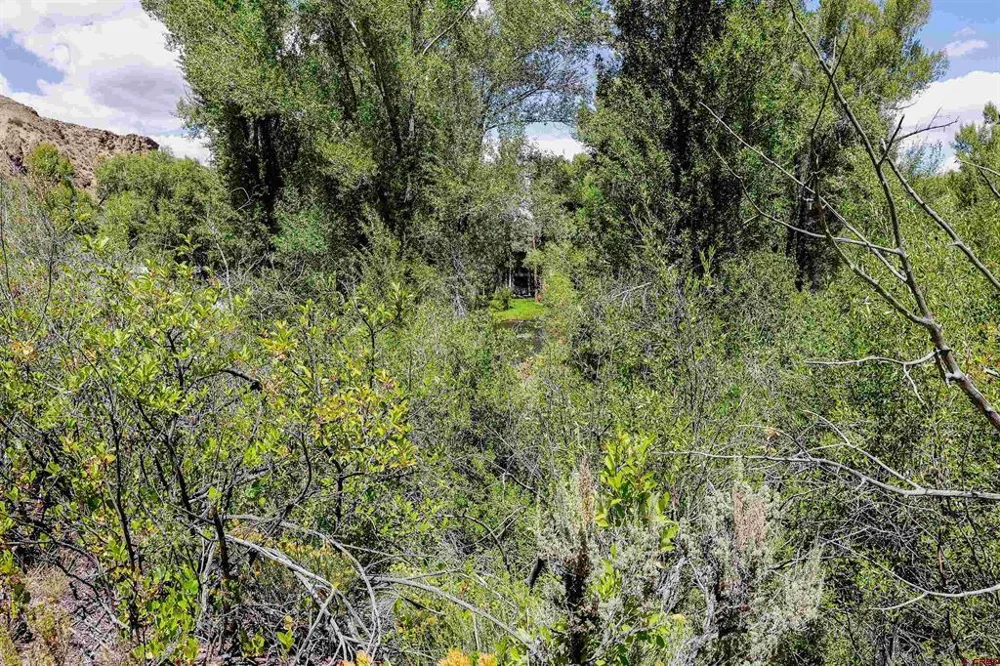 County Road 16 Gunnison, CO 81230