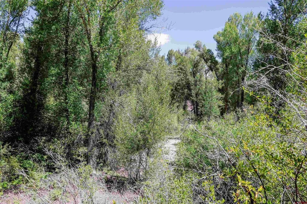 County Road 16 Gunnison, CO 81230