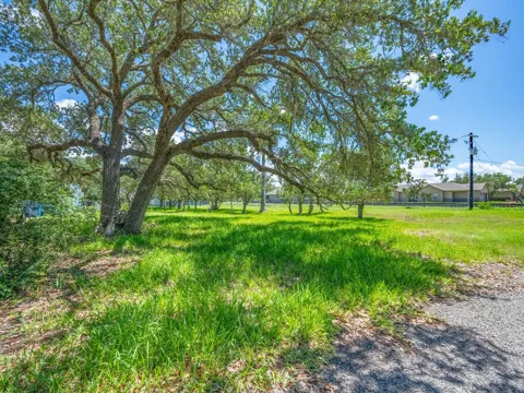 210 Timber Lane Loop