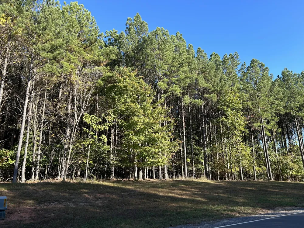 2035 Crockett Pointe Jasper, TN 37347