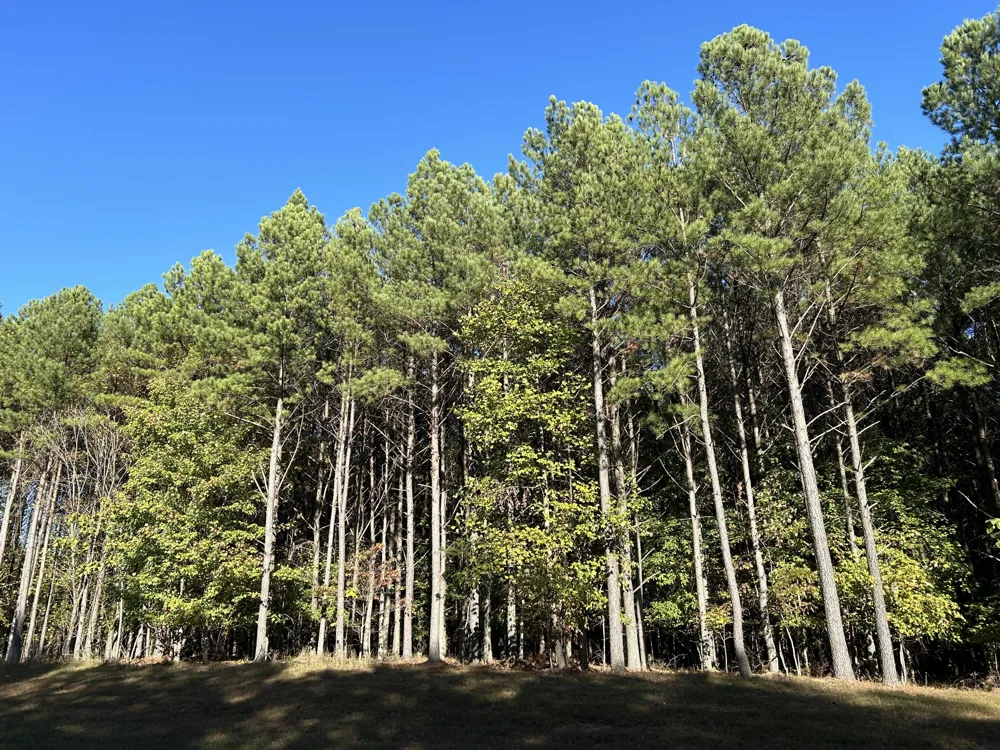 2035 Crockett Pointe Jasper, TN 37347