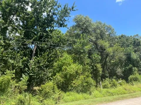 1131 Bronco Trail