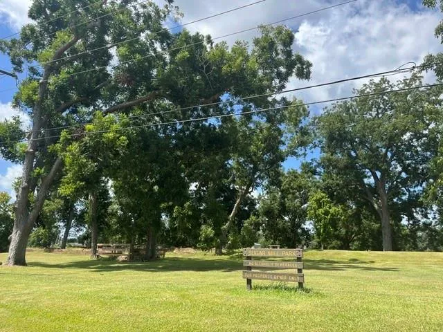 1131 Bronco Trail Angleton, TX 77515