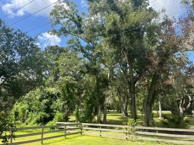 1131 Bronco Trail Angleton, TX 77515