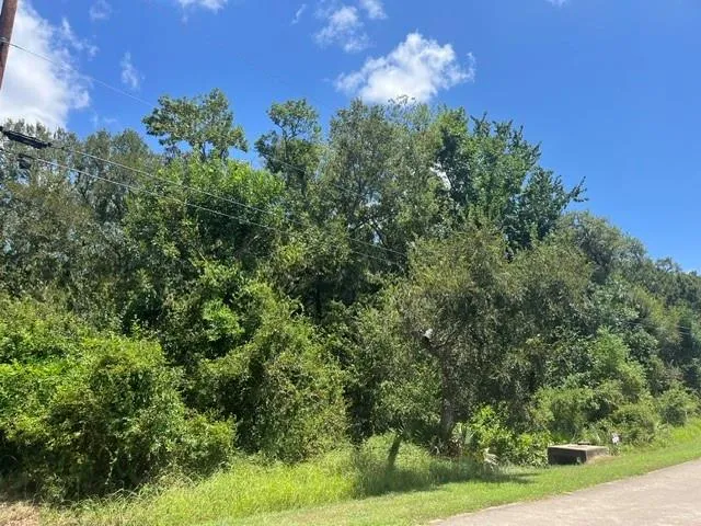 1131 Bronco Trail Angleton, TX 77515