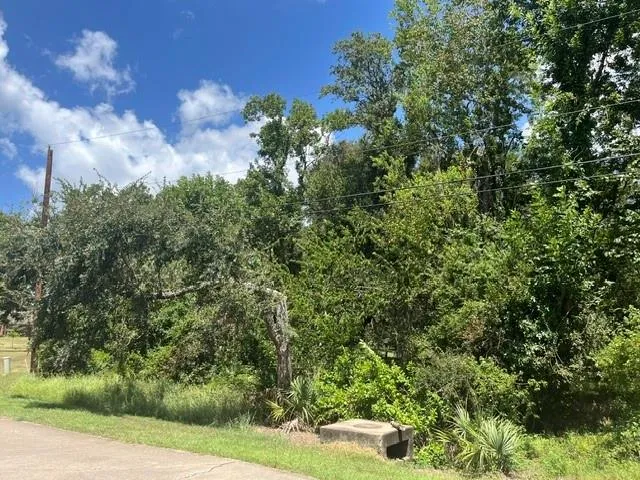 1131 Bronco Trail Angleton, TX 77515