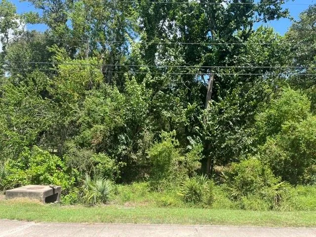 1131 Bronco Trail Angleton, TX 77515