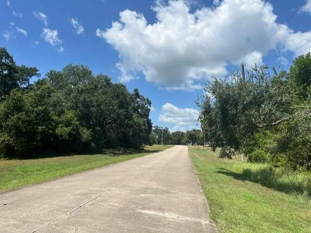 1131 Bronco Trail Angleton, TX 77515