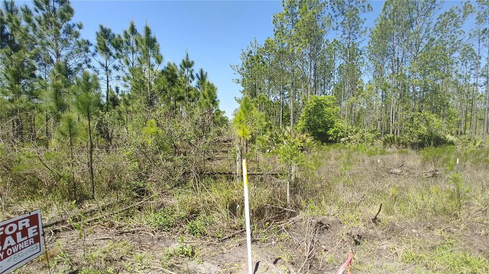 1001 OMEGA RANCH ROAD #16 New Smyrna Beach, FL 32168