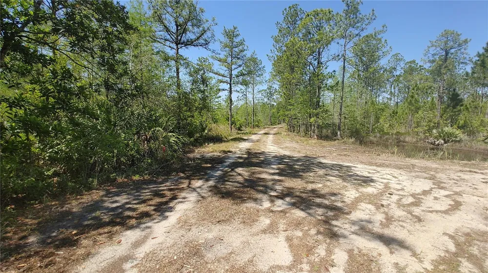 1001 OMEGA RANCH ROAD #16 New Smyrna Beach, FL 32168