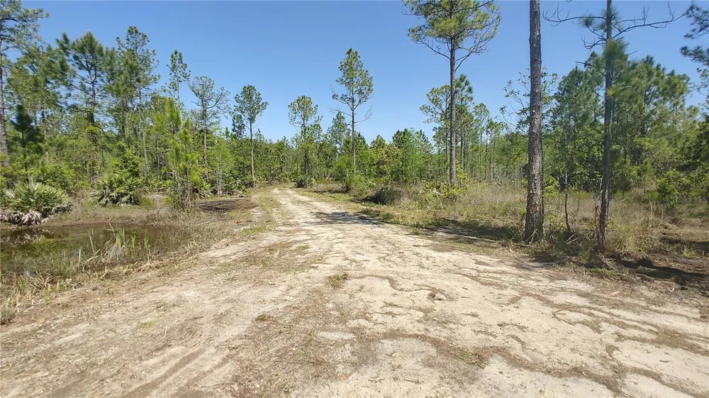 1001 OMEGA RANCH ROAD #16 New Smyrna Beach, FL 32168