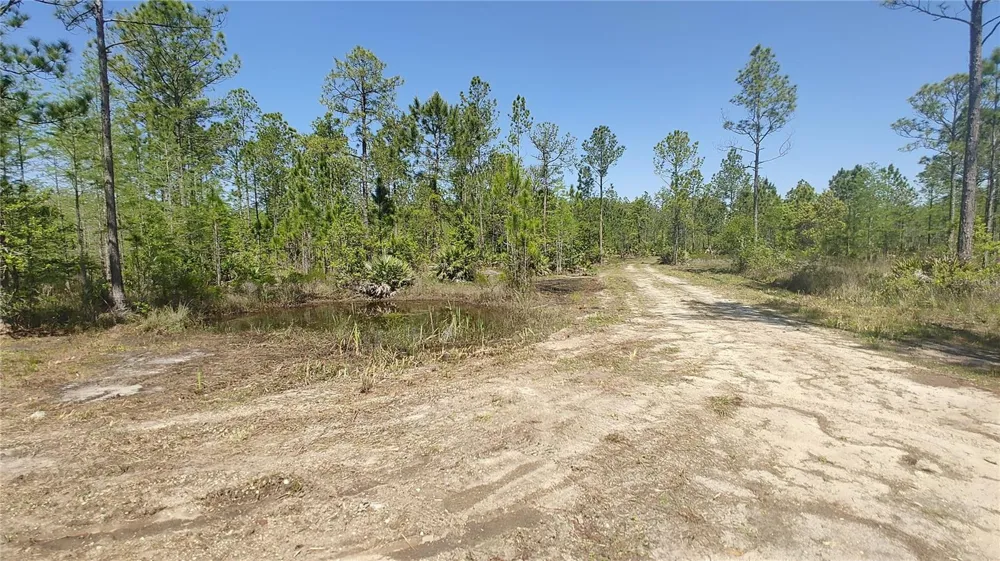 1001 OMEGA RANCH ROAD #16 New Smyrna Beach, FL 32168