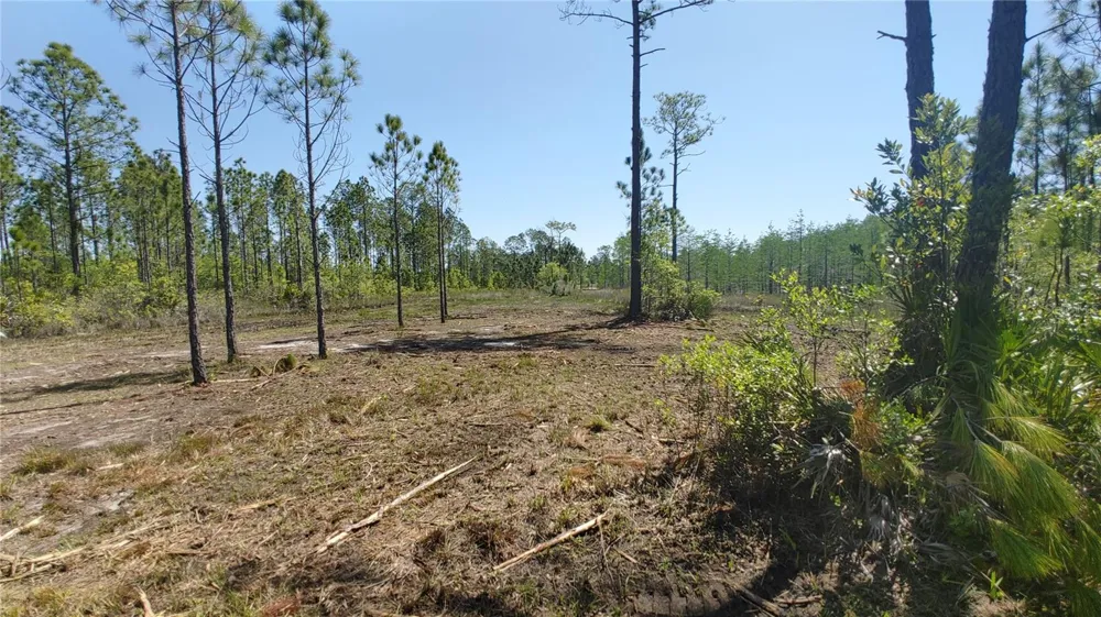 1001 OMEGA RANCH ROAD #16 New Smyrna Beach, FL 32168