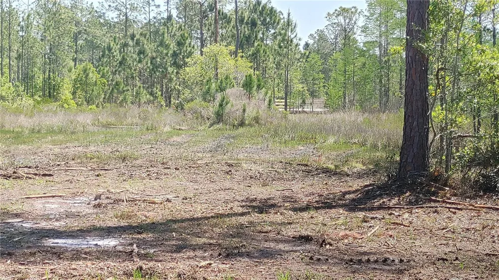 1001 OMEGA RANCH ROAD #16 New Smyrna Beach, FL 32168