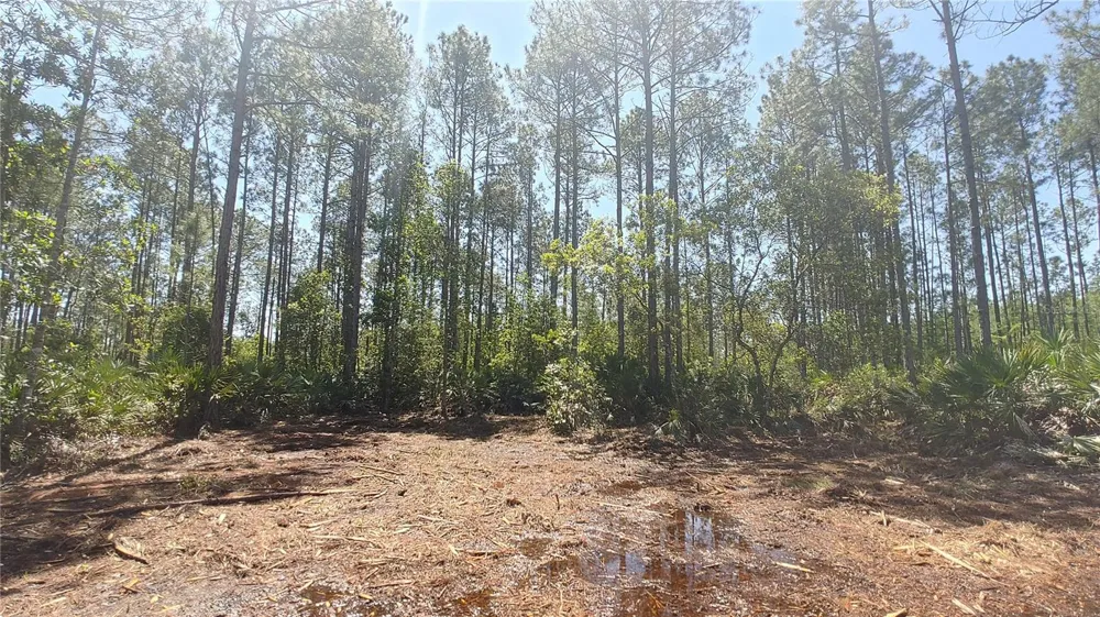 1001 OMEGA RANCH ROAD #16 New Smyrna Beach, FL 32168