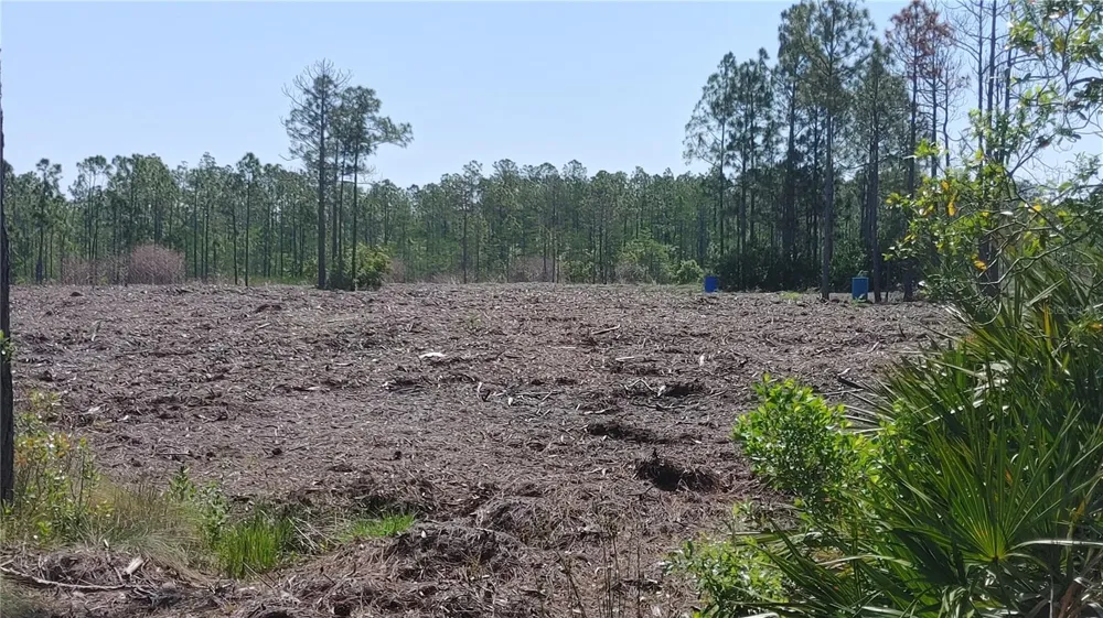 1001 OMEGA RANCH ROAD #16 New Smyrna Beach, FL 32168