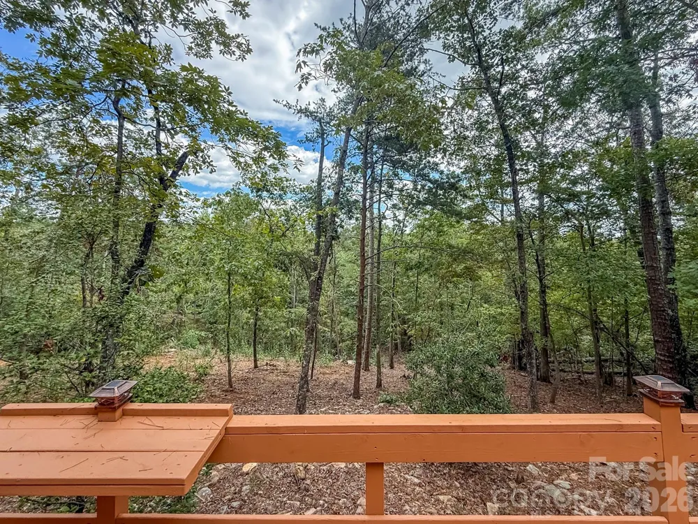 253 Nors Way Lake Lure, NC 28746