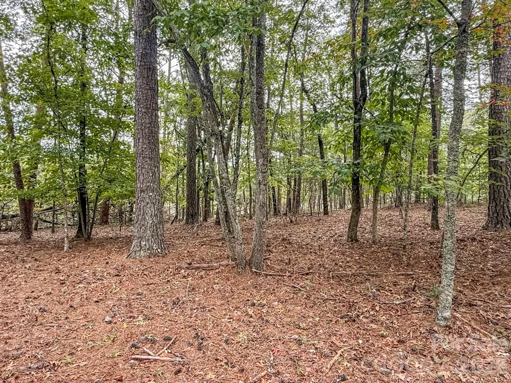 253 Nors Way Lake Lure, NC 28746