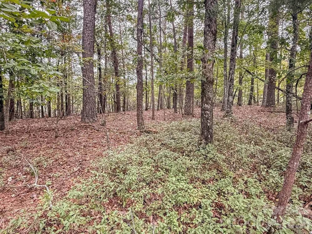 253 Nors Way Lake Lure, NC 28746