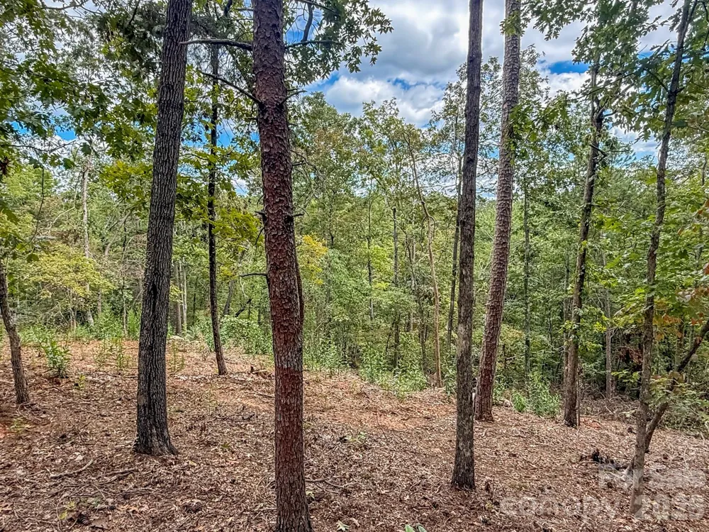 253 Nors Way Lake Lure, NC 28746