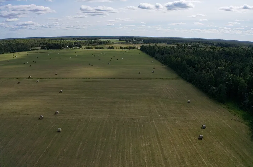 TBD Arkola Road Toivola, MN 55765