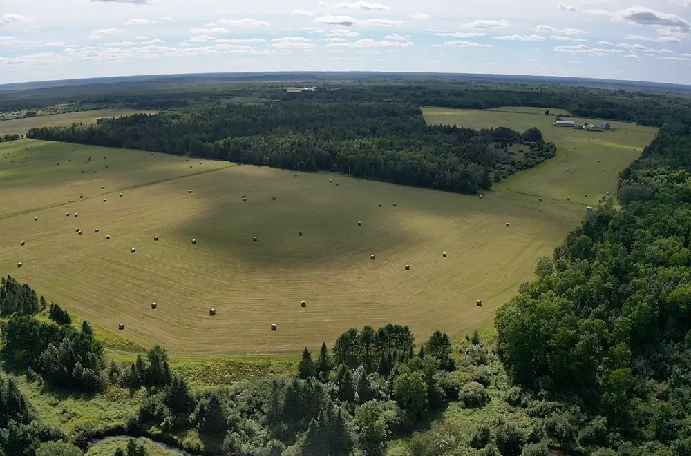 TBD Arkola Road Toivola, MN 55765