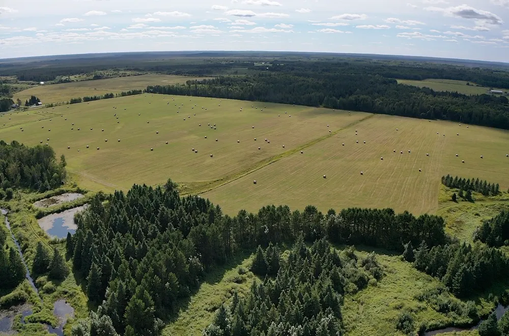 TBD Arkola Road Toivola, MN 55765