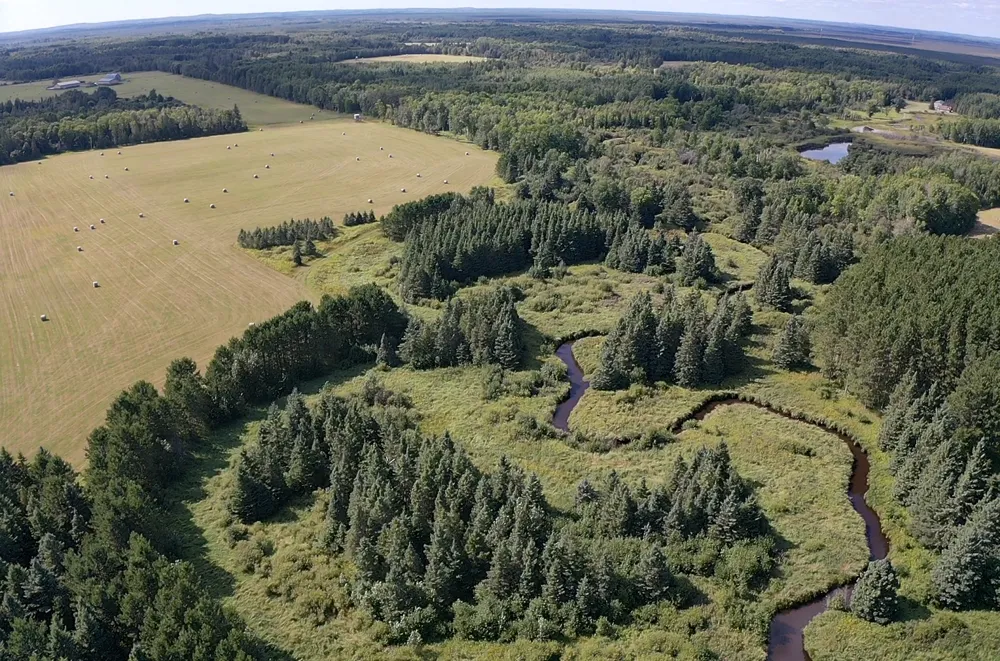 TBD Arkola Road Toivola, MN 55765