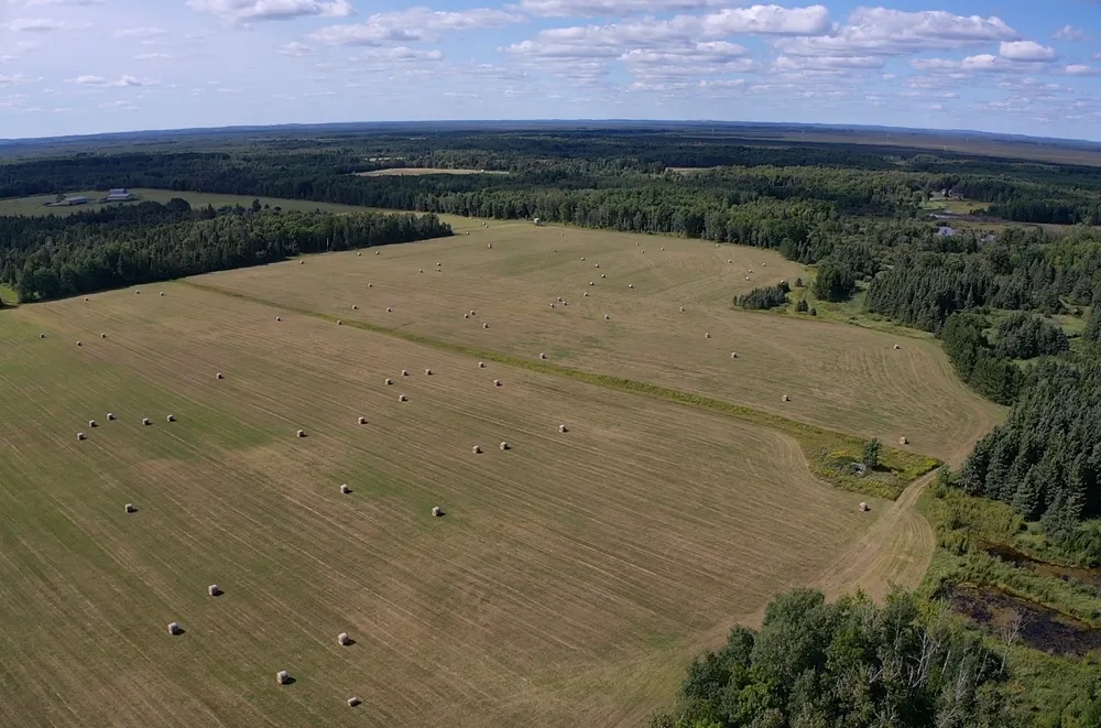 TBD Arkola Road Toivola, MN 55765