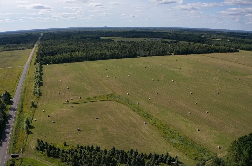 TBD Arkola Road Toivola, MN 55765