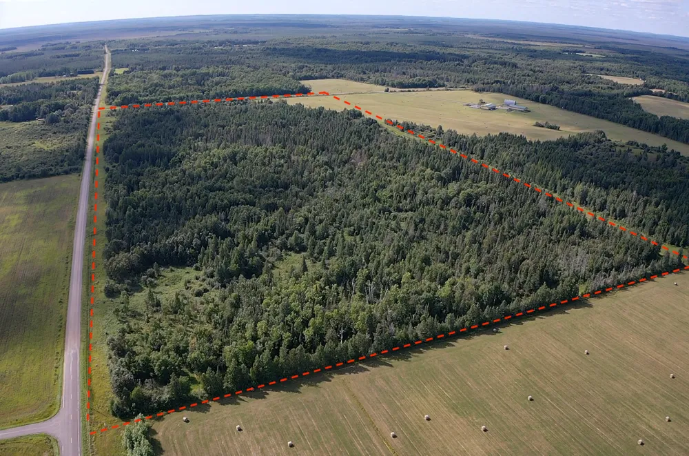 TBD Saralampi Road Toivola, MN 55765