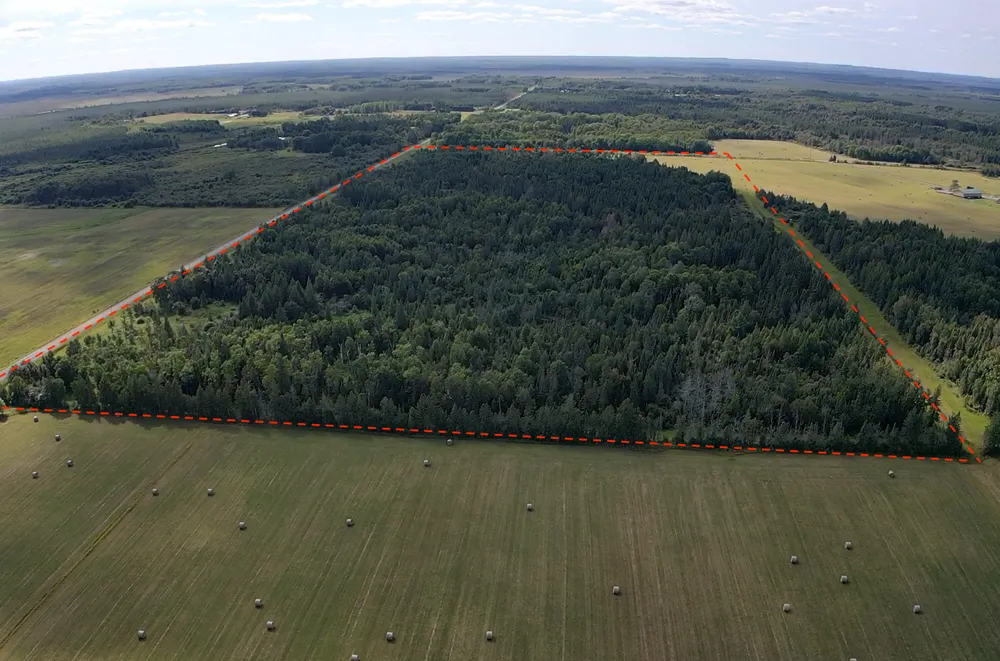 TBD Saralampi Road Toivola, MN 55765